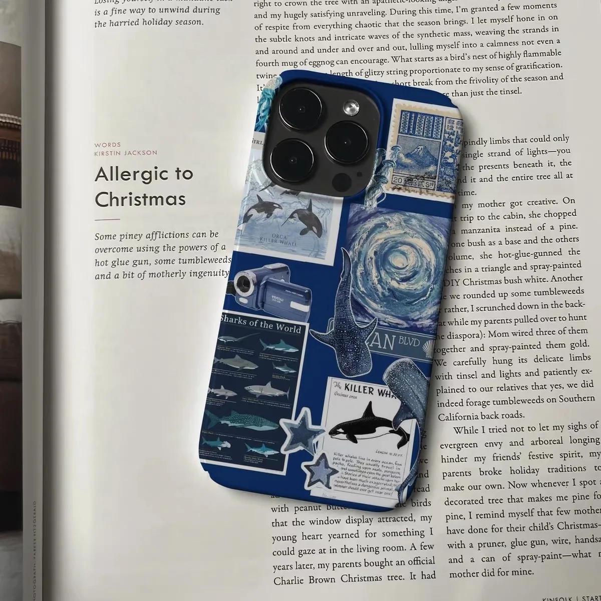 Klein Blue Poster Ocean Phone Case for IPHONE 17 Air 16E 15PROMAX 14 Plus 13 12 MINI 11 PRO 16Plus XR XS MAX Acrylic Phone Cover