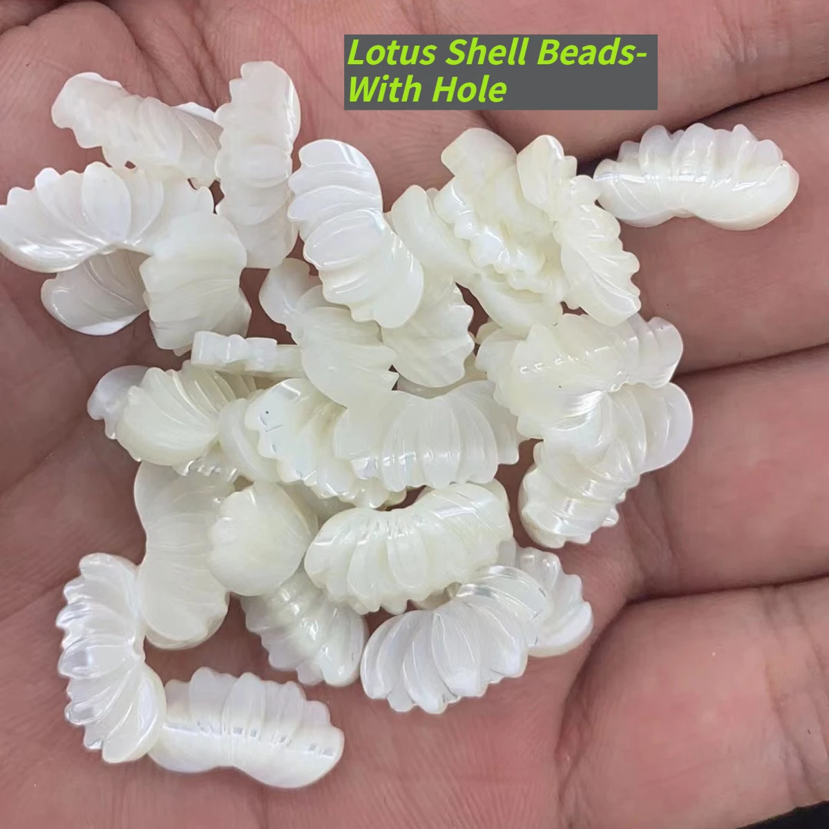 

4Pcs DIY Loose Beads Natural Seawater Shell Lotus Beads 16x8mm For Jewelry Making DIY Chains Necklace Accessory