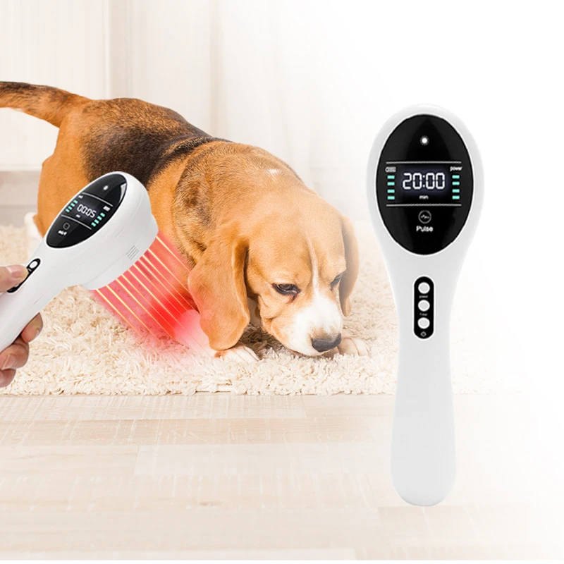 

Fast Recovery and Infection Treatment Veterinary Cold Diode Laser Therapy Machine Dog Cat Horse Pain Relief