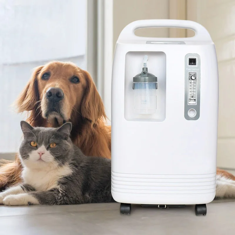 Pet Hospital Oxygenn Machine Equipment Medical Grade 3liter 5liter 7liter 10liter Oxygene Concentrator for Dogs Cats