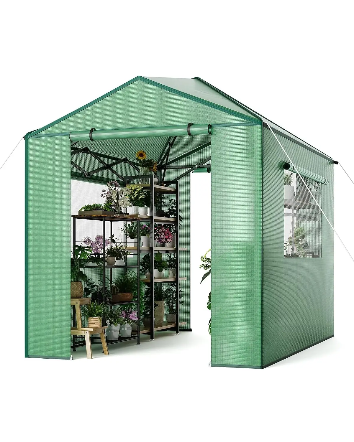 6x8 Ft Pop Up Walk-in Greenhouse Medium One-Click Assembly, Customized