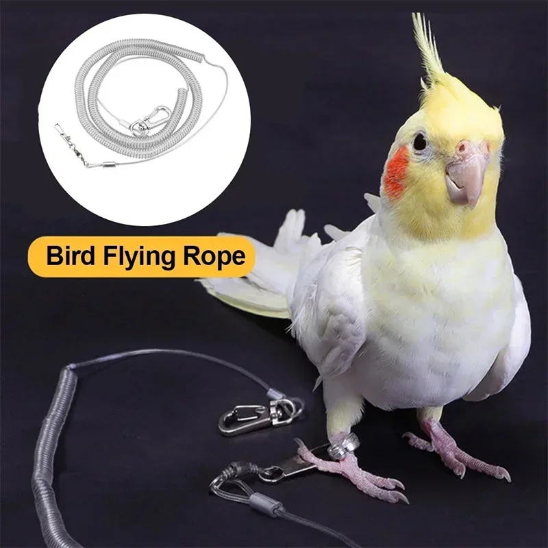 Bird Foot Chain Anti Bite Flight Training Rope Bird Foot Bracelet Pet Bird Flight Travel Training Bird Light Ankle Chain Parrot
