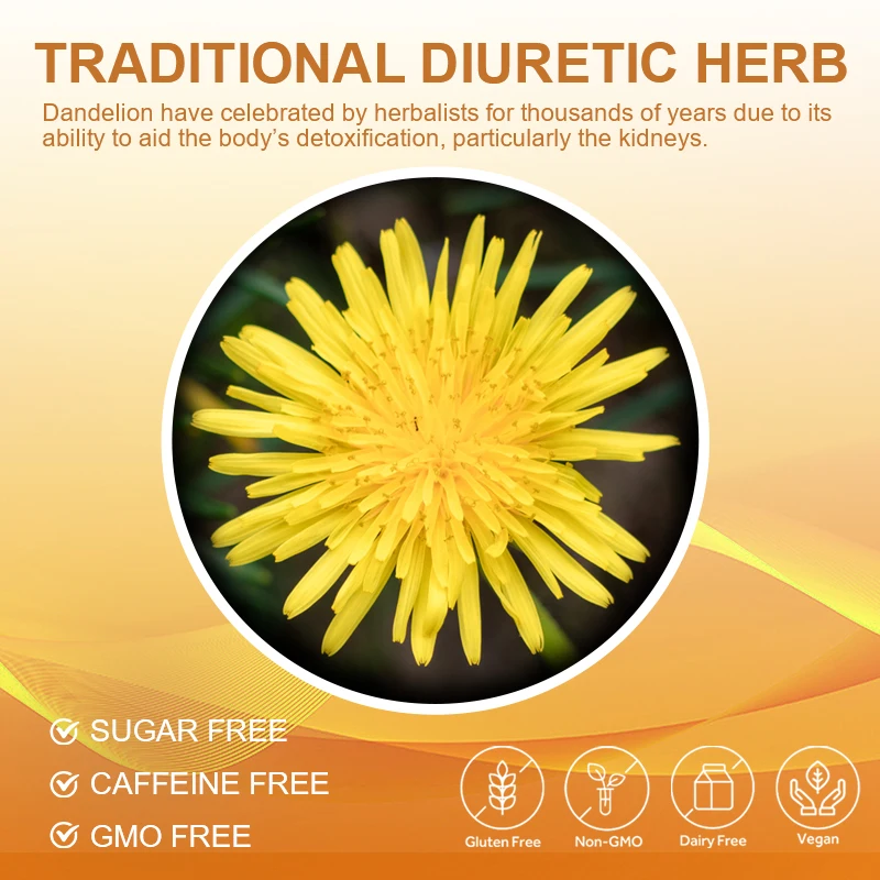 Dandelion Root Capsule Healthy Liver, Kidney, Digestion & Water Balance Support