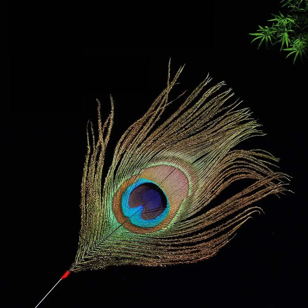 الكبار الطاووس ريشة كوريت الرعاية الصحية الأذن أدوات حفر الفضة إبرة الأذن نظافة عصا Earpick