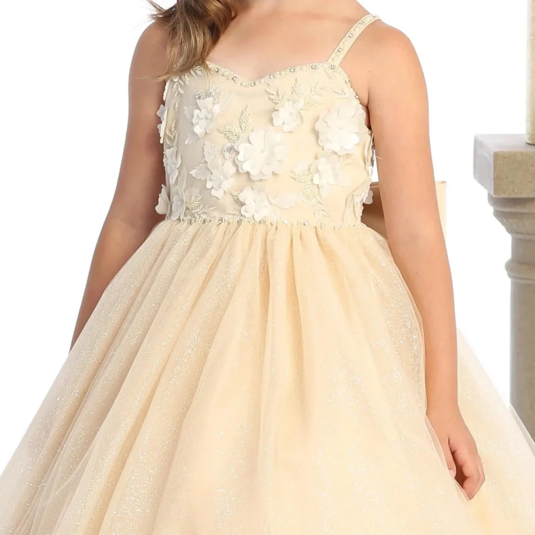 Vestido personalizado de flores color champán para niña, flores, boda, cumpleaños, con lazo, apliques sin mangas para fiesta, banquete, vestido de princesa