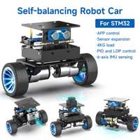 Yahboom 2WD High Configuration STM32 Self-Balance Car Educational Smart Robot Kit With DC Motor Support PID Adjustment 4KG Load