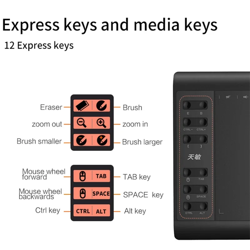 Tavoletta grafica professionale da disegno 12 tasti Express stilo senza batteria a 8192 livelli/supporto per ricarica penna da 30 pezzi PC Laptop 10x6"