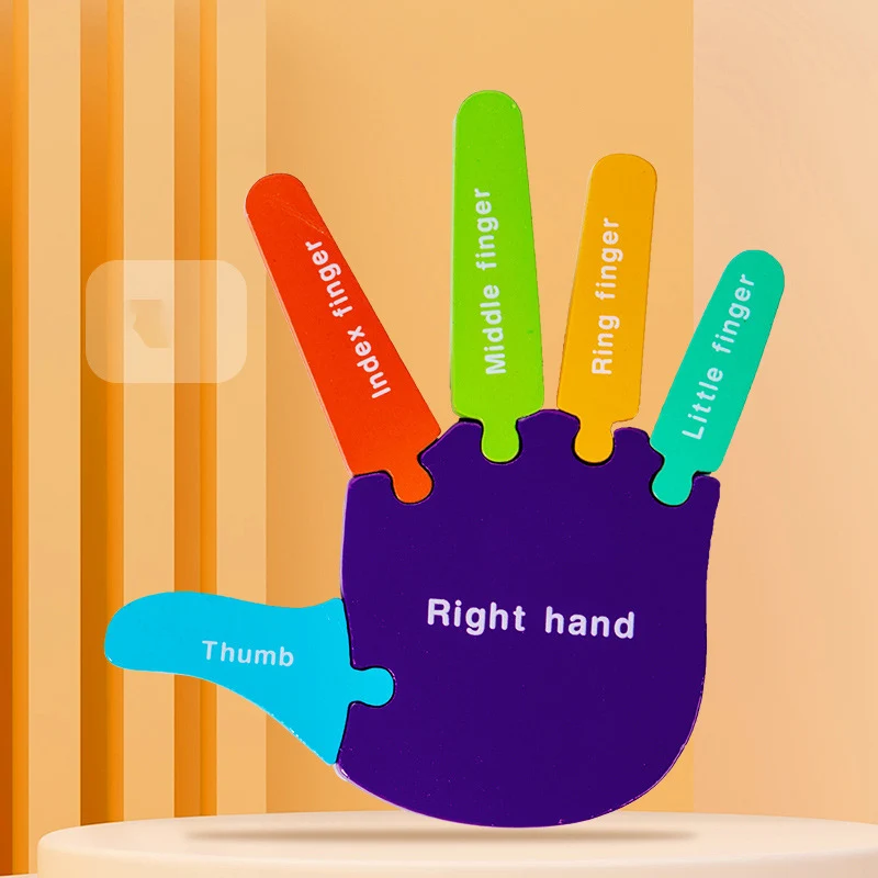 1 Pairs Palms and Soles Cognitive Puzzle Puzzle Kindergarten Children's Body Structure Cognitive Science and Education Toys