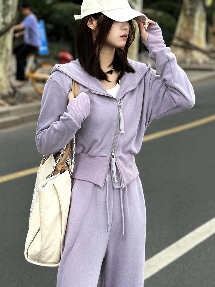 秋冬用パーカーセット レディース カジュアル スポーツウェア クレテ 高級感 韓国風 スタンドバージョン 綿 ポリエステル