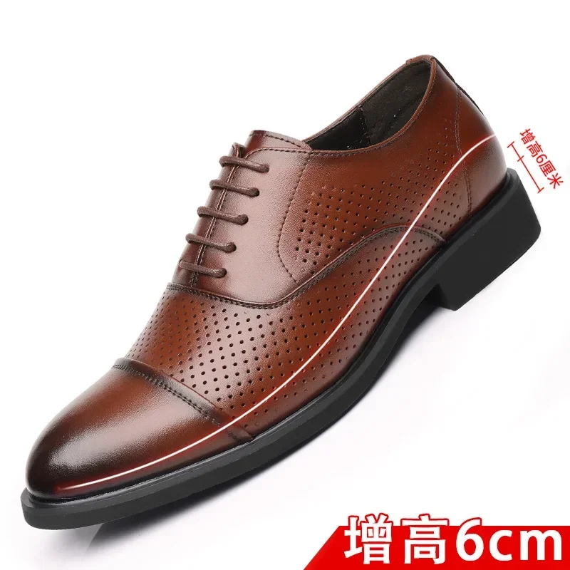 brown 6cm hallow