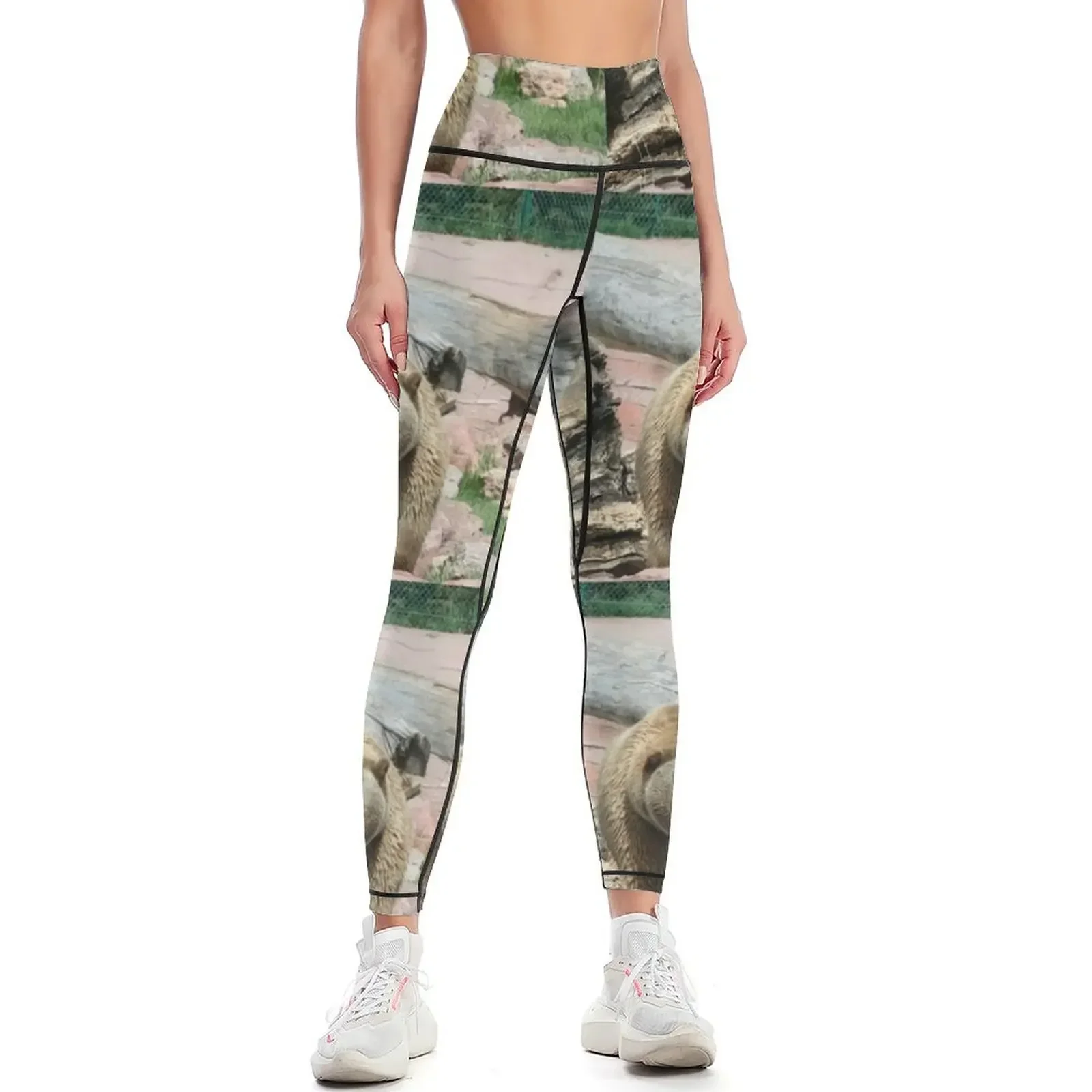 Grizzly bears of South Dakota Leggings for physical sports for gym sports tennis for leggins push up woman Womens Leggings