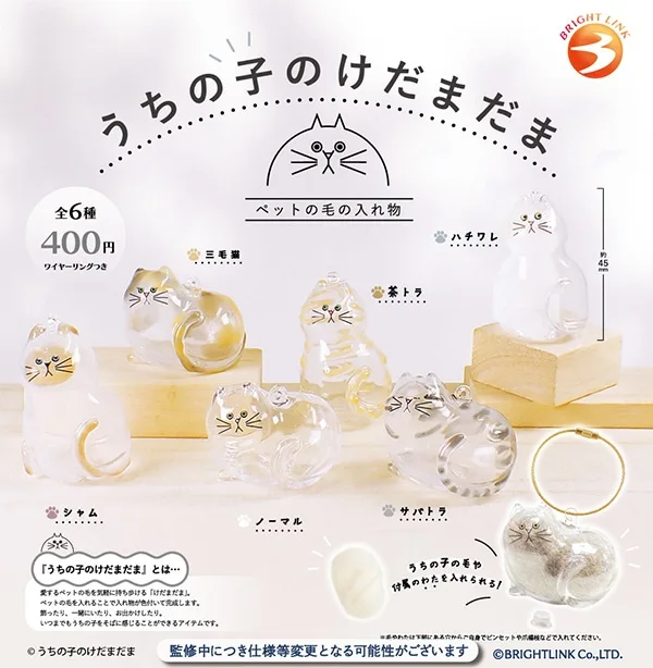 Pre-Sale Bright Lin… - image