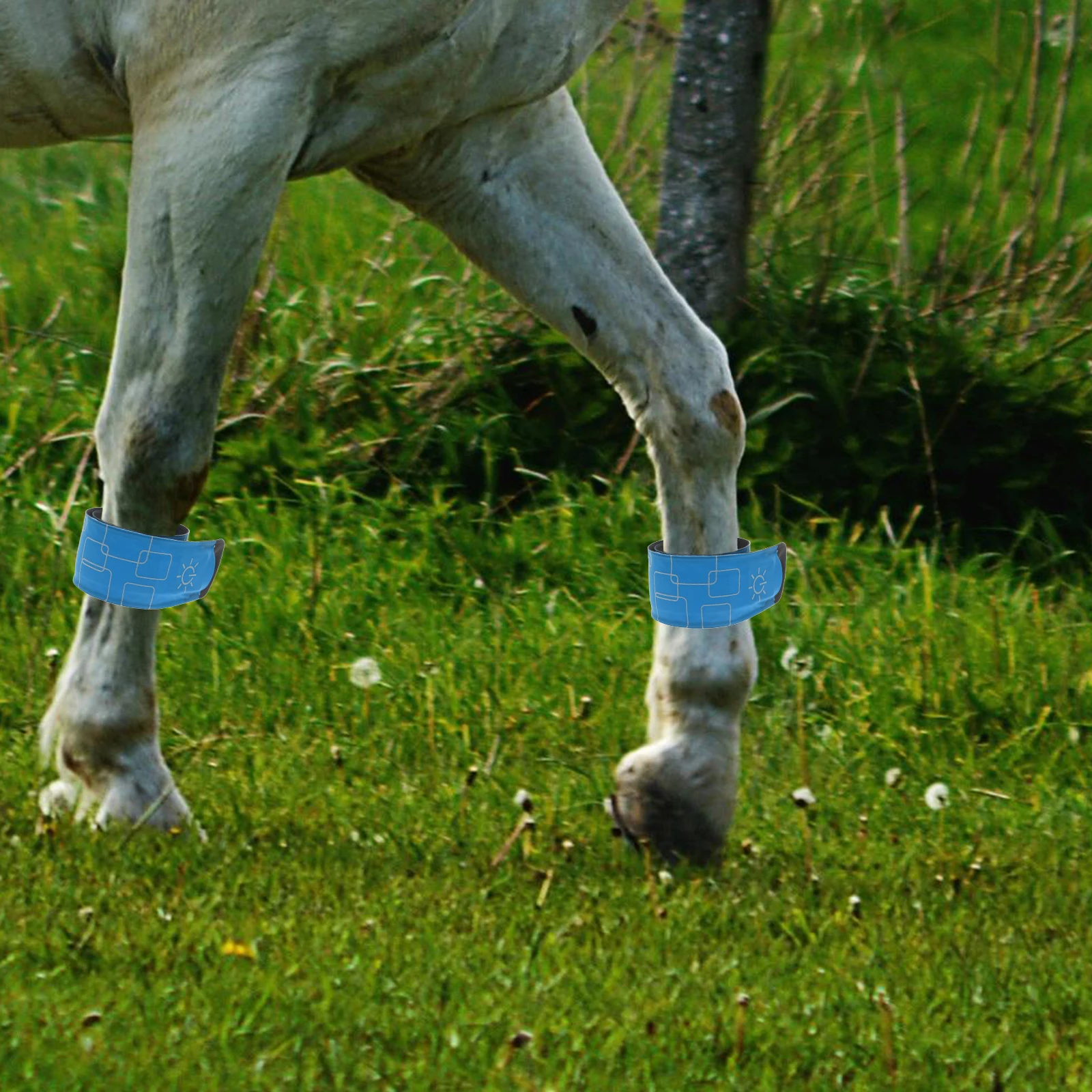 4 قطع LED أضواء الكاحل الحصان القابلة لإعادة الشحن، أشرطة وامضة مشرقة لركوب الليل والجري وركوب الدراجات والسلامة في الهواء الطلق