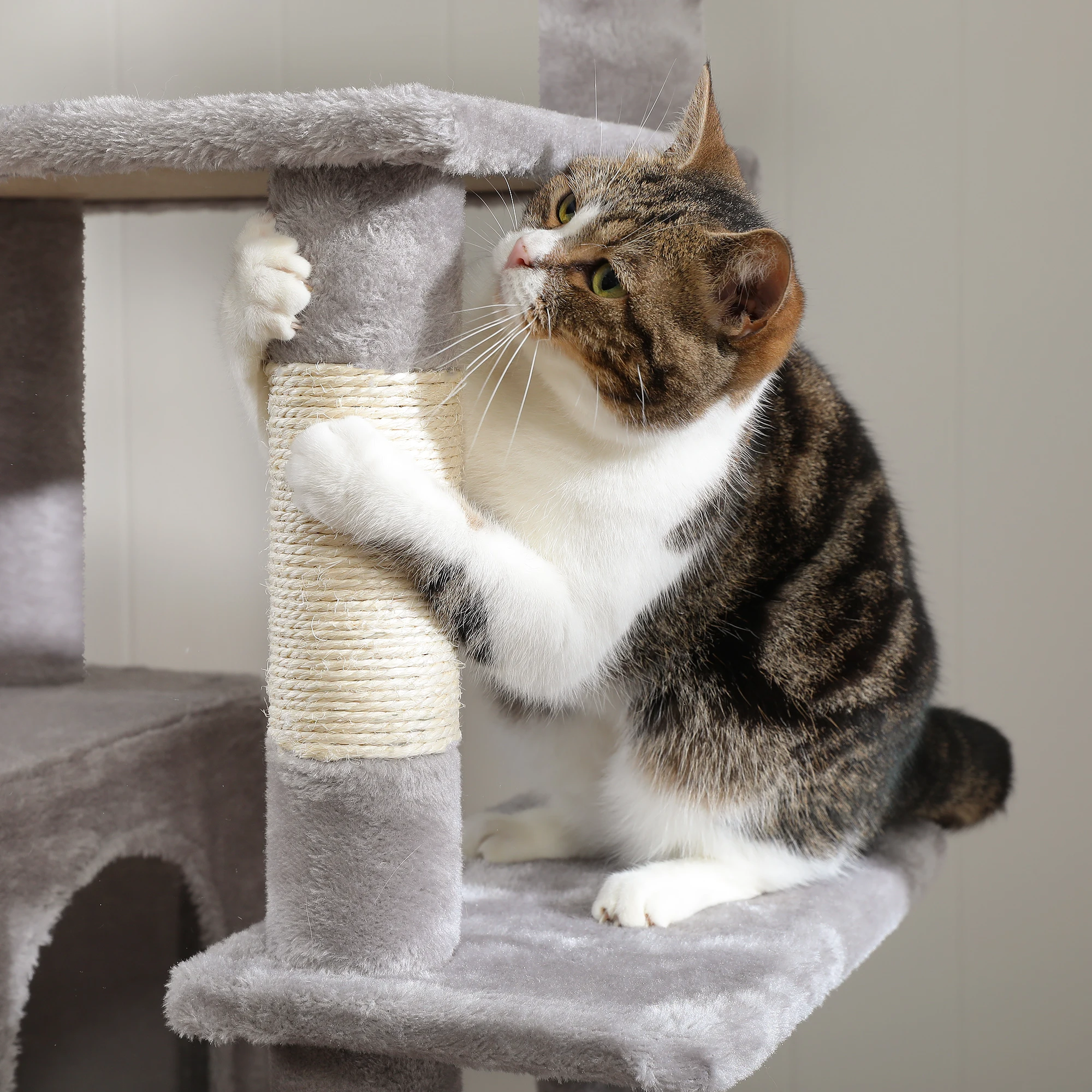Grand condo pour chats d'intérieur, arbre à chat avec hamac, griffoirs, 2 perchoirs