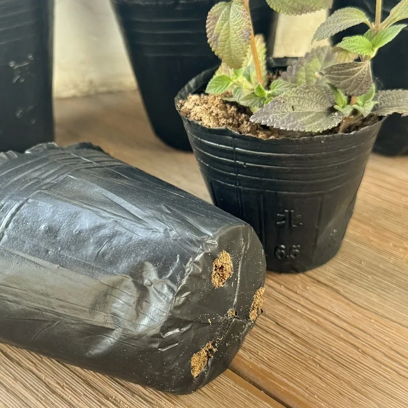 300/50 قطعة الشتلات السوداء أواني الحضانة البذور البلاستيكية بدء تنمو أكواب زهور النباتات تنمو حاوية الحقائب أكياس زراعة الشتلات #5