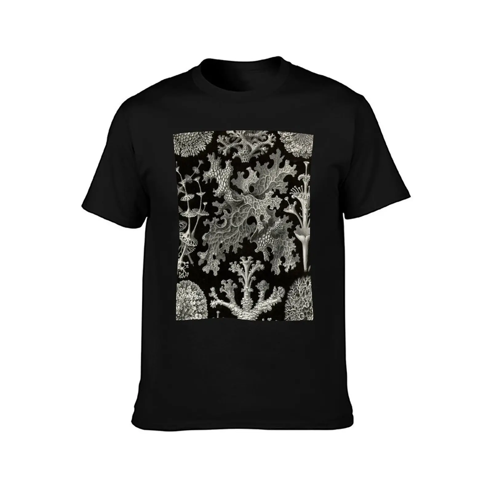 Lichenes (Thallophytes - Lichens) - Ernst Haeckel T-Shirt Holiday Party for Men T-Shirt