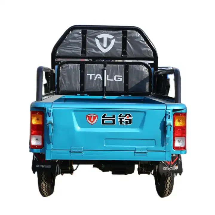 Three-wheeled Electric Car House Hold  Old People Pick up Children Mountain Pull Goods Small Scooter.