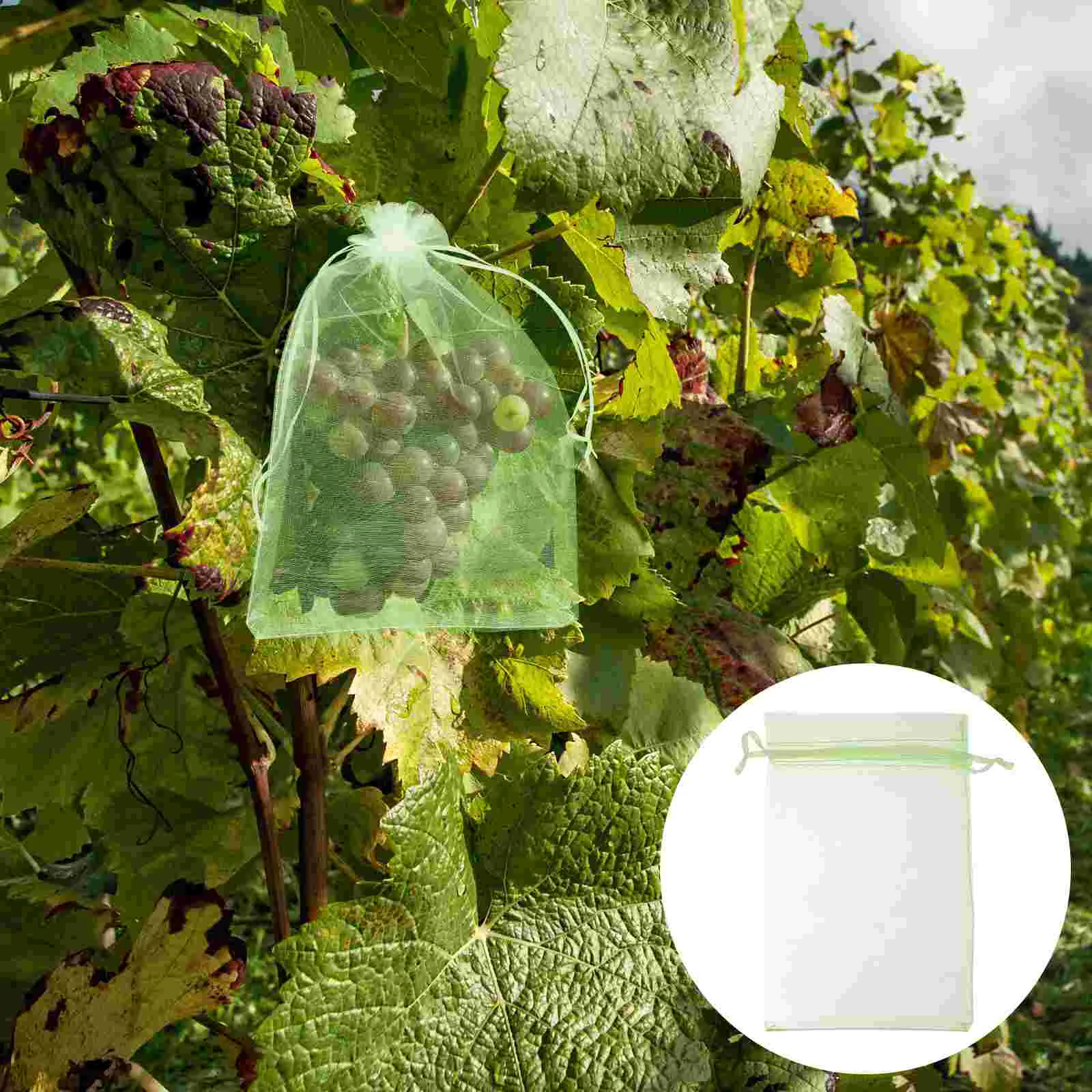 

Fruit Protection Mesh Bag Strawberry Plants Mesh Produce Bags Grape Breeding Bag White Organza