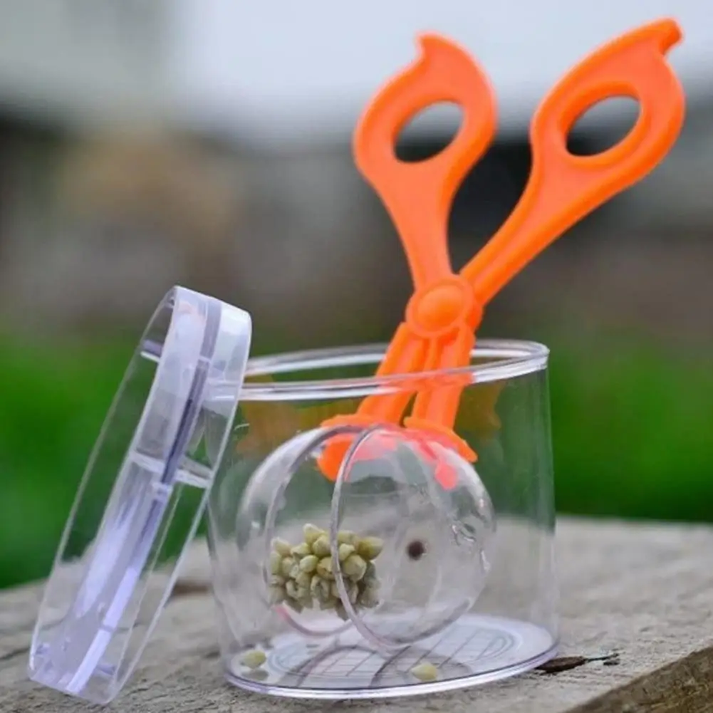 Pinças de plástico para crianças, Handy Insect Scissors, Clips Exploring Kit, Practical Trapping, Insect Toys, Bug Trap