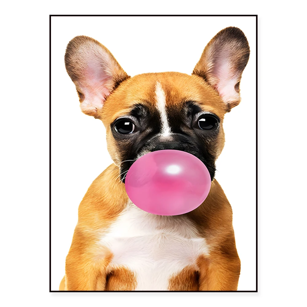 Black labrador bubblegum, poodle, dachshund puppy, golden retriever, bubblegum french bulldog, bubblegum, animal dog poster