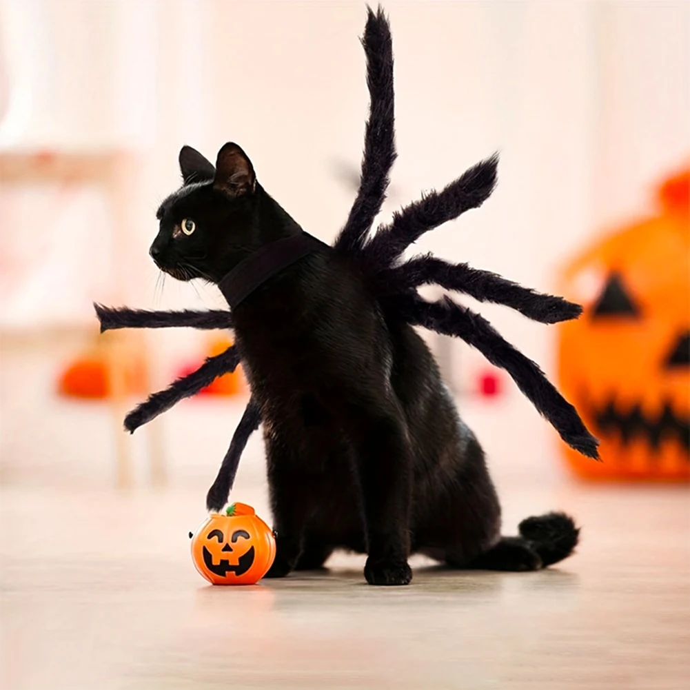 Costume da ragni per cani/gatto simulazione Horror ragni di peluche travestimento-vestito da festa per servizi fotografici