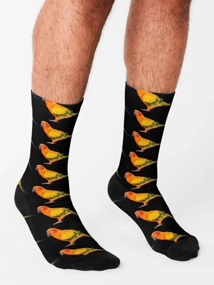 S مخصص لهدايا الشتاء Sun Conure Socks، جوارب رياضية رائعة وسعيدة للرجال والنساء