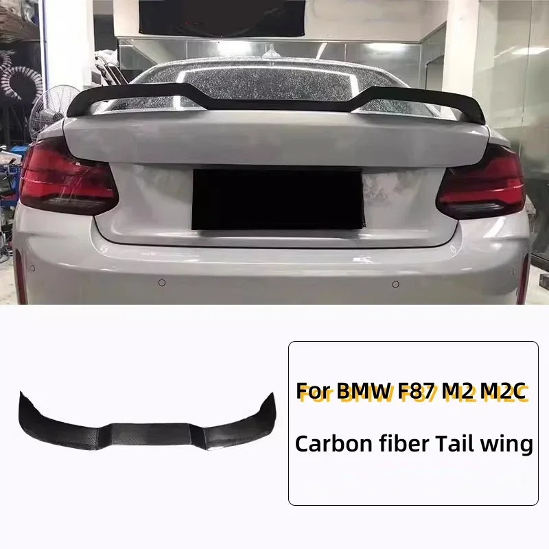 Carbon Fiber Tail W… - image