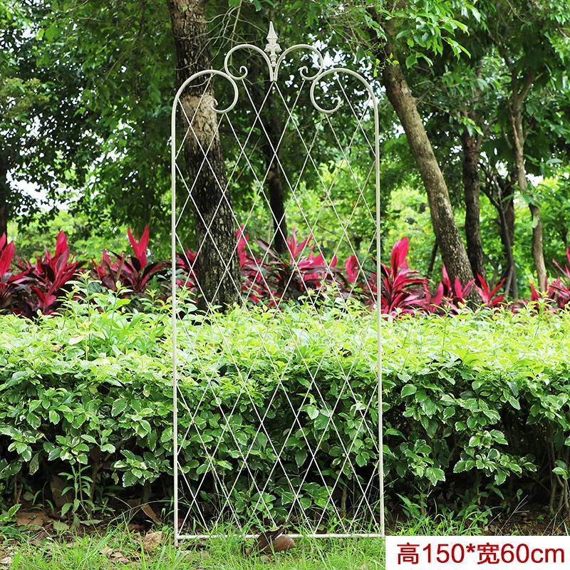 American clematis climbing vine flower stand wrought iron mesh