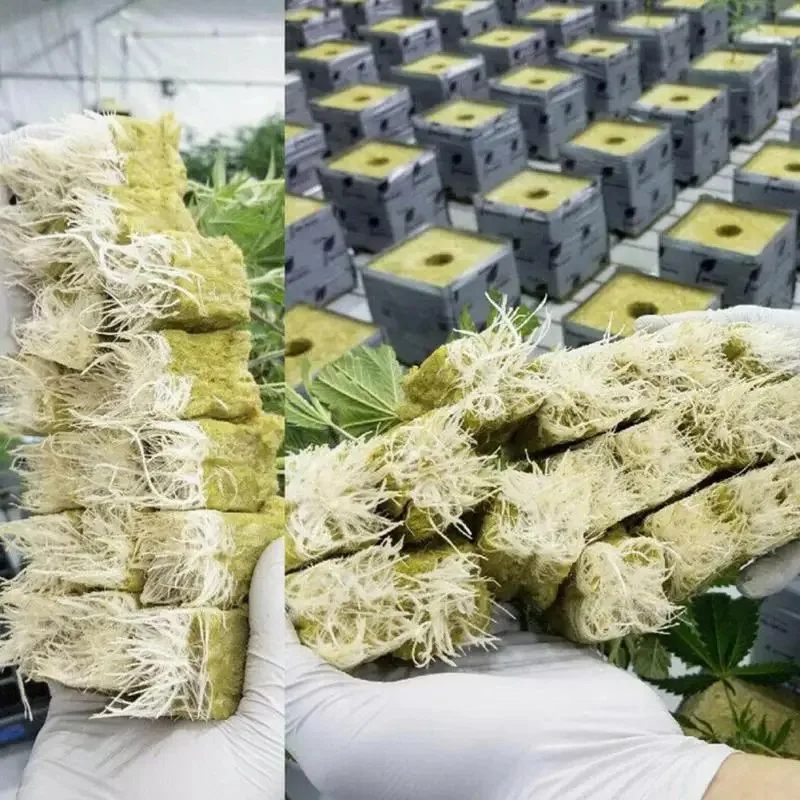 50Pcs 25X25X25Mm Hydroponic Seedling Blocks Germination Substrate Soilless Cultivation Growing Block For Plant Seedling Growth