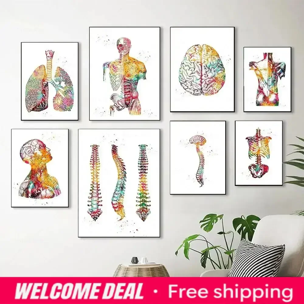 Scandinavian Simple Wall Art Human Anatomy Spine Heart Brain Teeth HD Canvas Poster Prints for Home Bedroom Living Room Decor