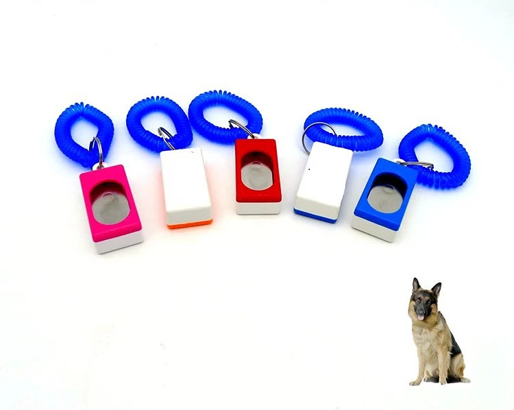 Dog training supplies Imported working dog training pet trainer