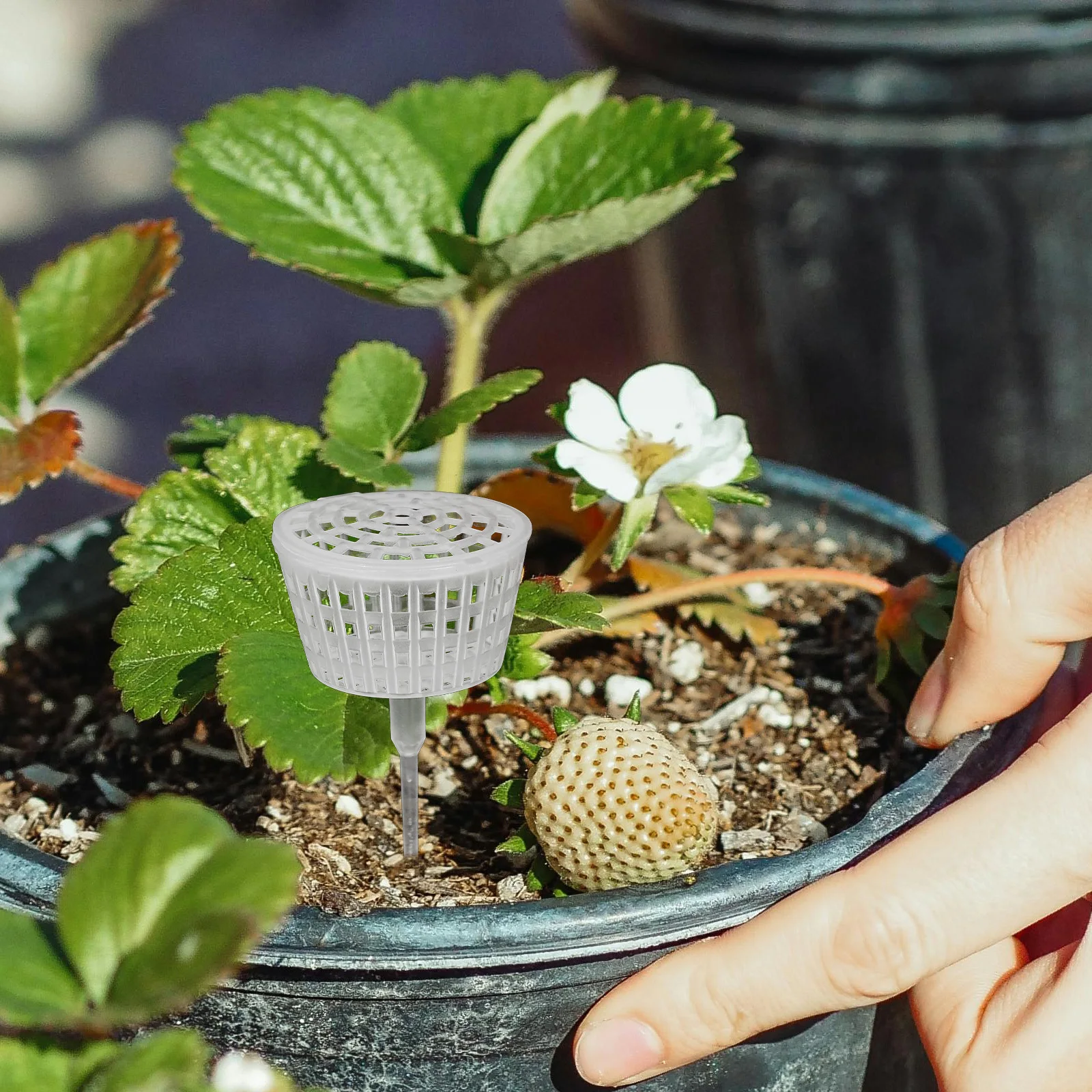 กล่องใส่ปุ๋ยพลาสติก 10 ชิ้น สำหรับบอนไซและกล้วยไม้ พร้อมเข็มปุ๋ย อุปกรณ์ทำสวน ดีไซน์ใช้งานง่าย โซลูชั่นการจัดเก็บที่ปรับเปลี่ยนได้