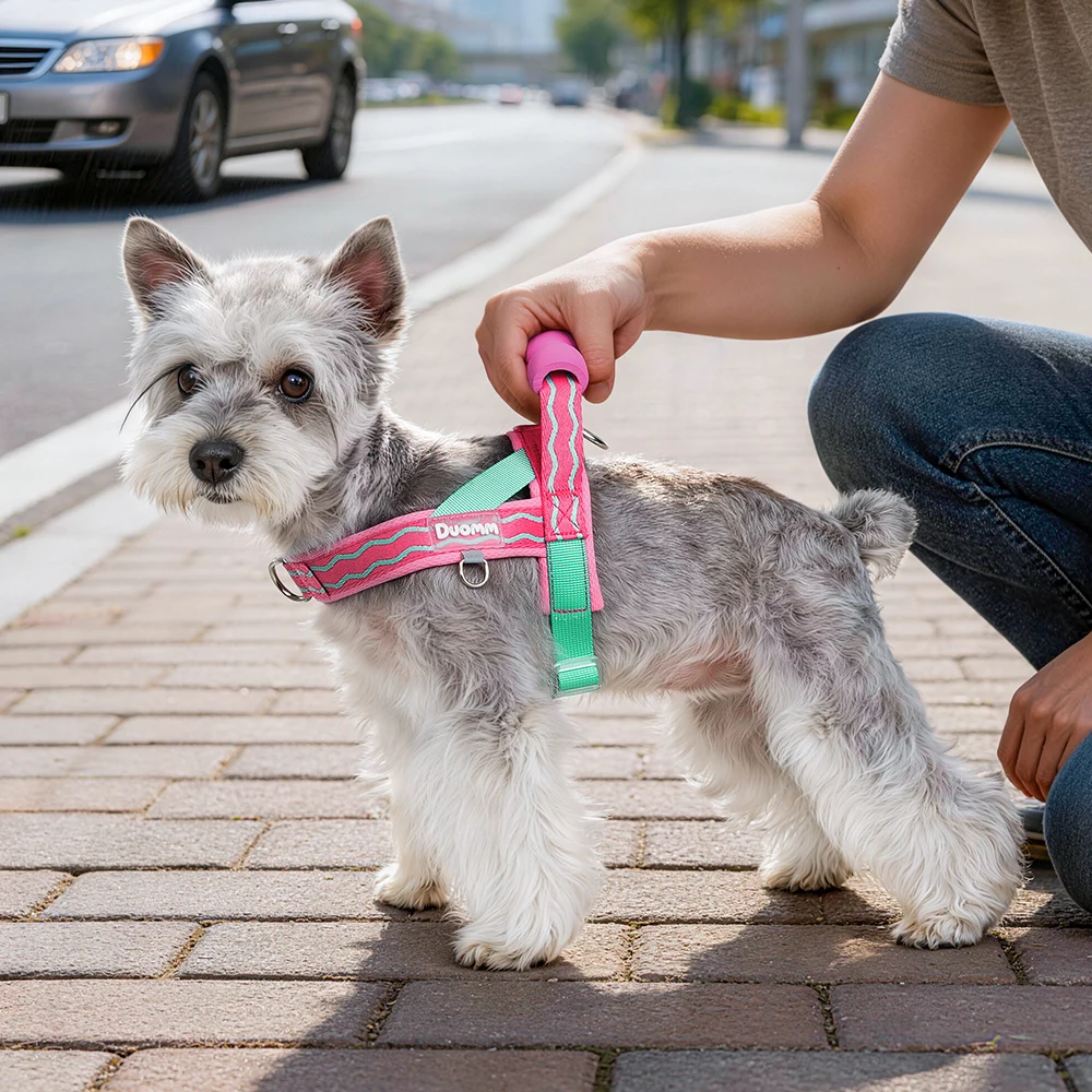 Saddle Dog Harness Soft Padded Foam Handle Liftable Outdoor Walking Puppy Breathable No Choke Small Medium Dog Pet Vest Harness_voghion.com