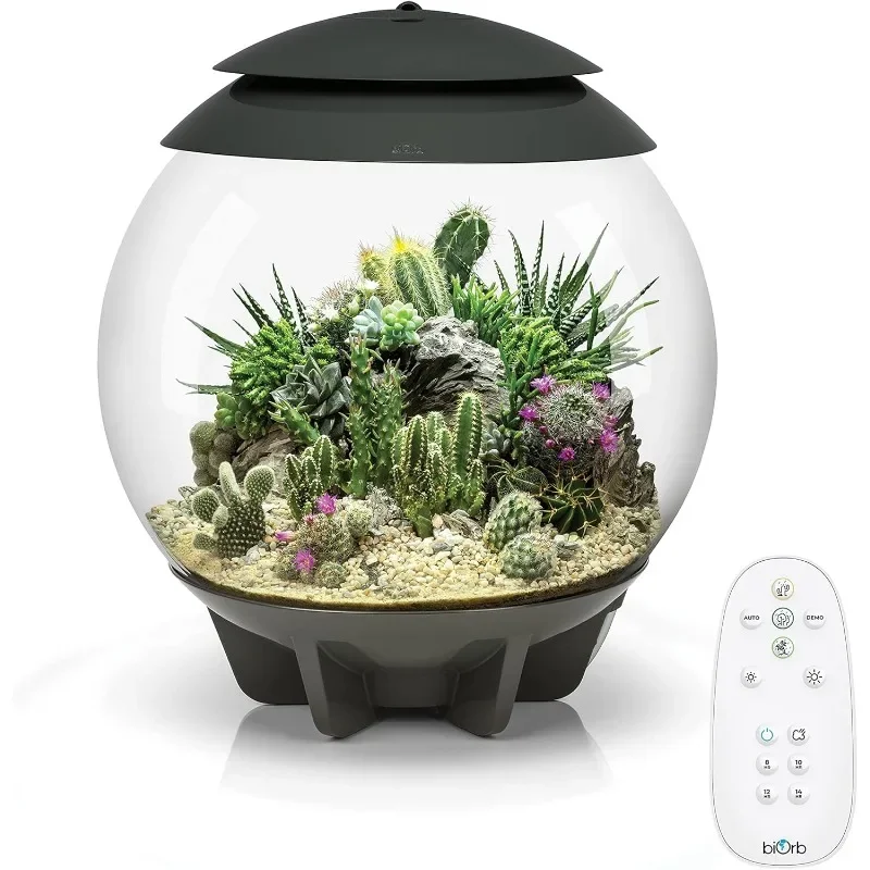 home.Automatic Arid, Temperate or Tropical Plant Terrarium, Grey