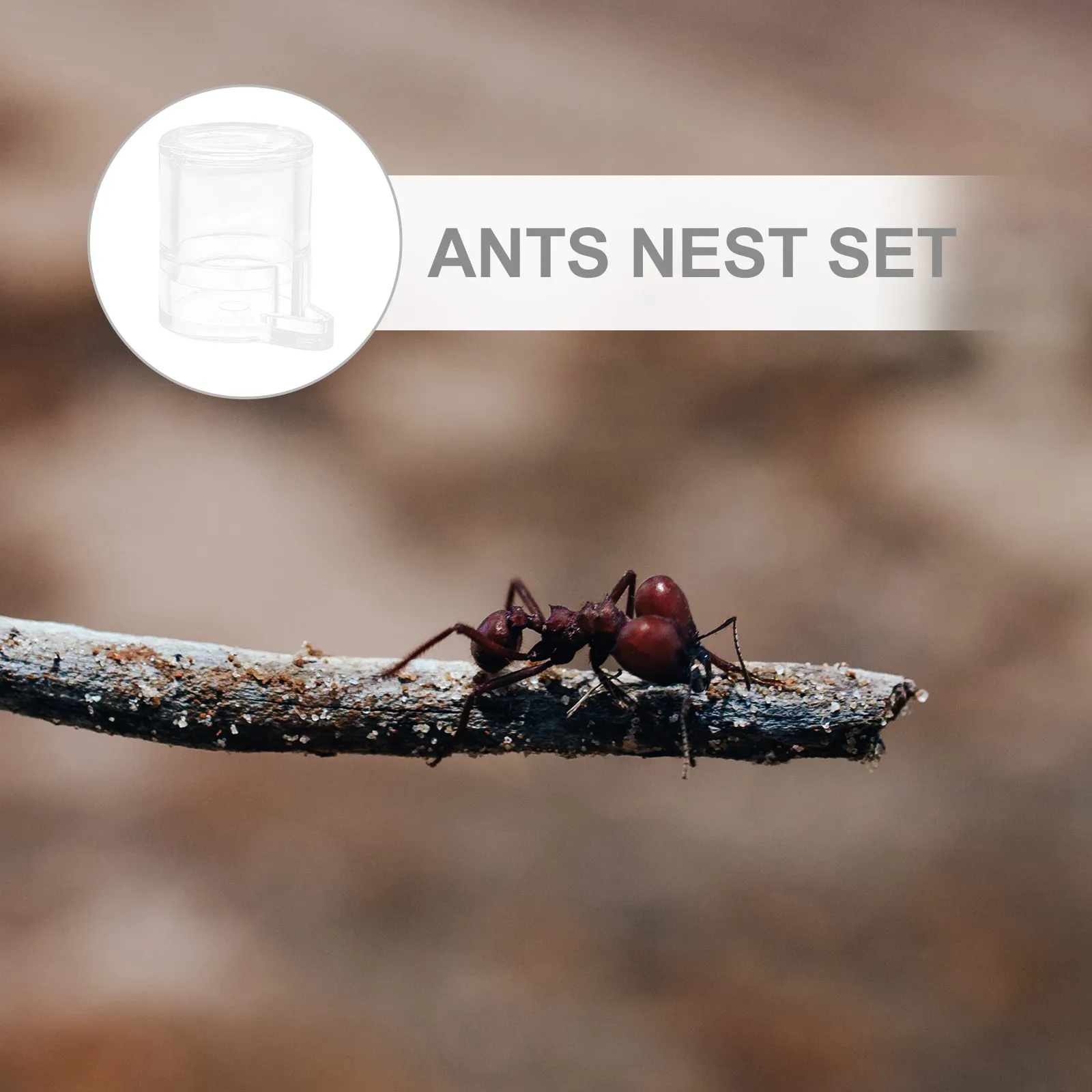Premium Acrylic Ants Feeding Container Water Bowl for Ants Nest Breeding Box Visible Feeding System Formicarium