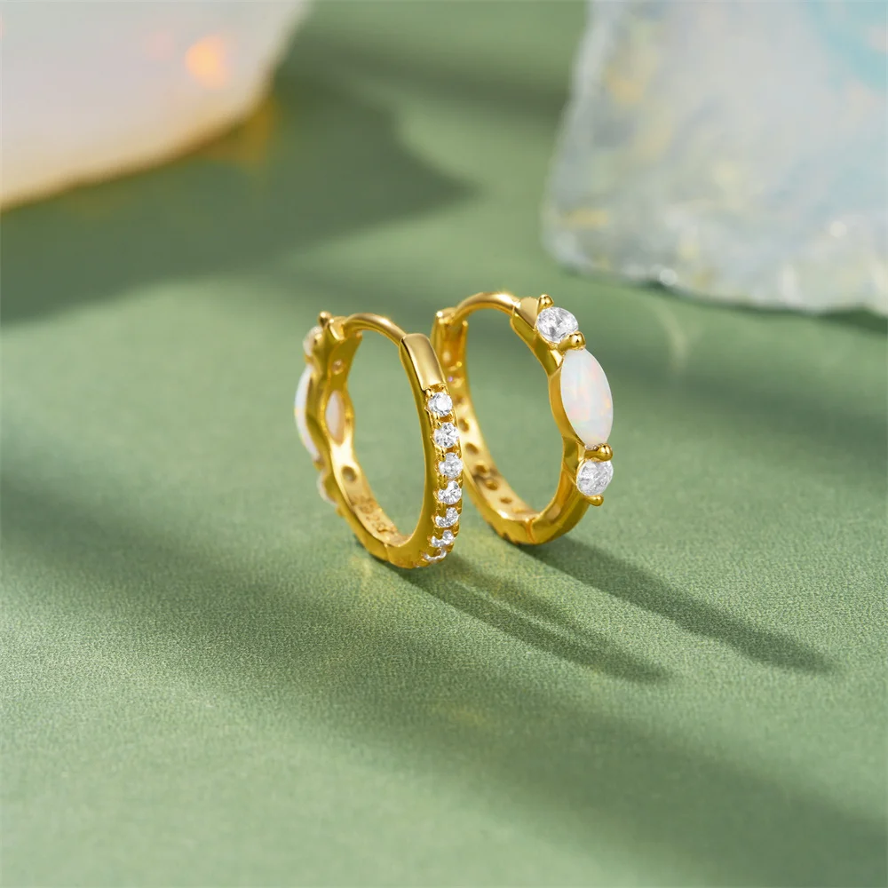 CANNER S925 Sterling Silver Mini Opal Zircon Hoop Earrings dla kobiet Klamra do uszu Drobna biżuteria Prezent Pendientes oorbellen Серьги — zdjęcie 4