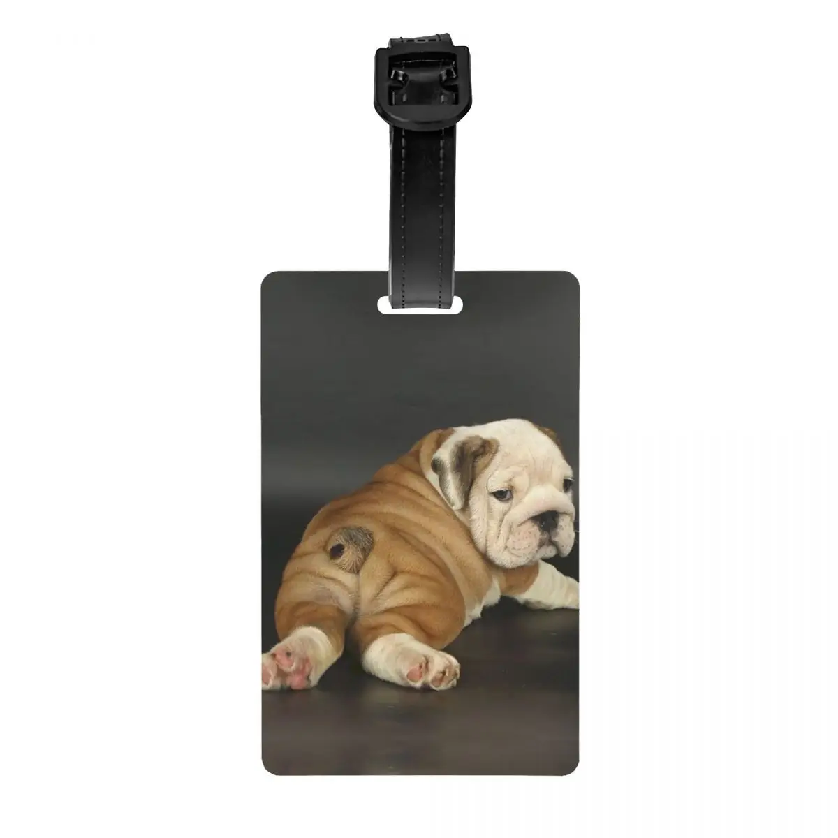 Bulldog Inglês Bagagem Tag, Mala de Viagem, Amante britânico Pet Dog, Privacidade Cover, Rótulo De Identificação, Bonito