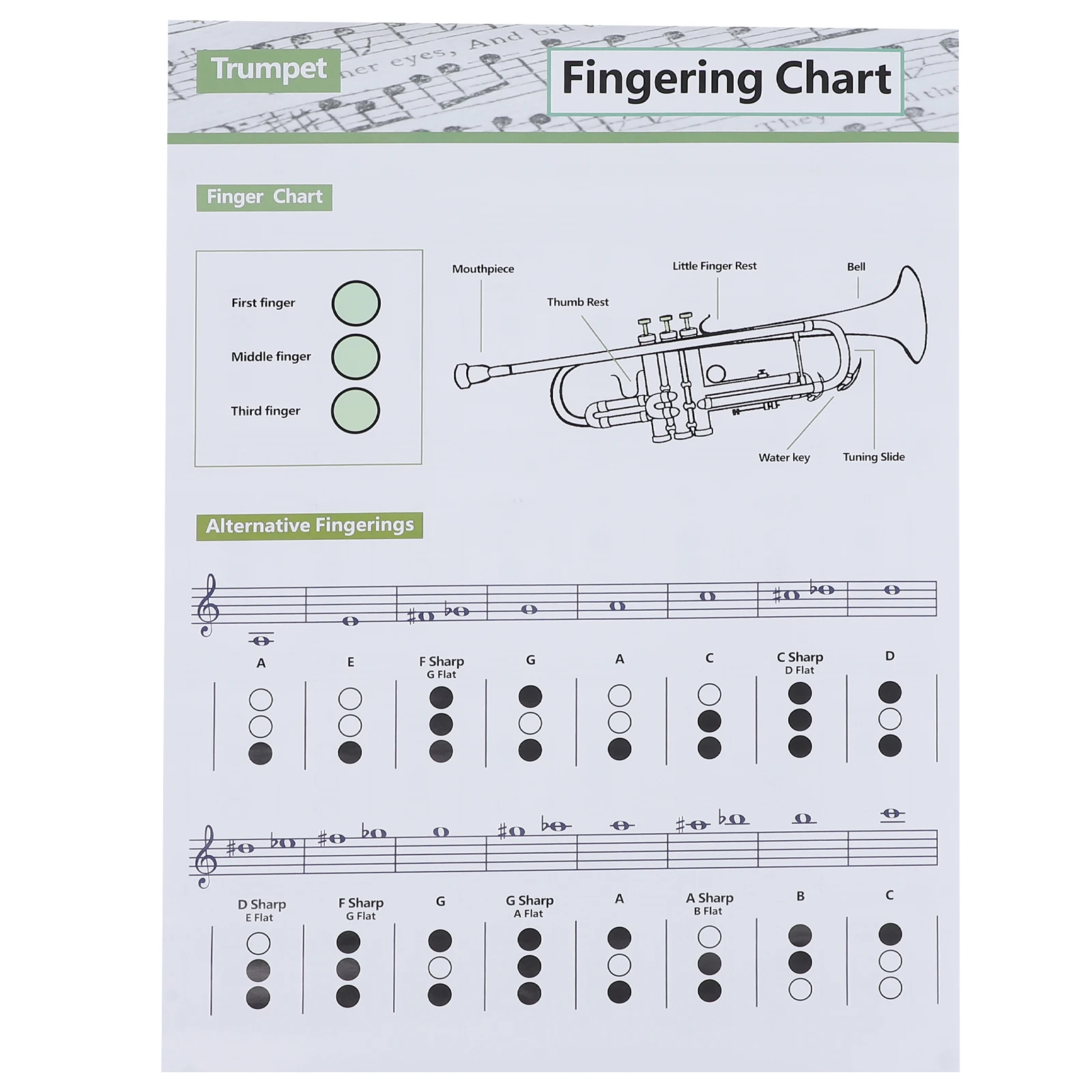 

Chord Fingering Chart Trumpet Poster Musical Instrument Beginner Student