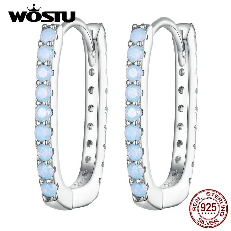 WOSTU Real 925 Sterling Silver Classical Roud Blue Fire Opal Hoop Wedding Earrings For Women Original European Simple Pendientes