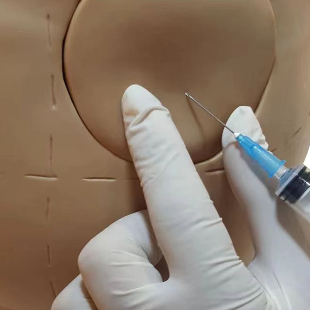 Simulateur d'Injection Intramusculaire de Hanche Humaine, Modèle d'Anatomie, Ressources Médicales Fuchsia, Vente en Gros, 100% Marque, Livraison Directe