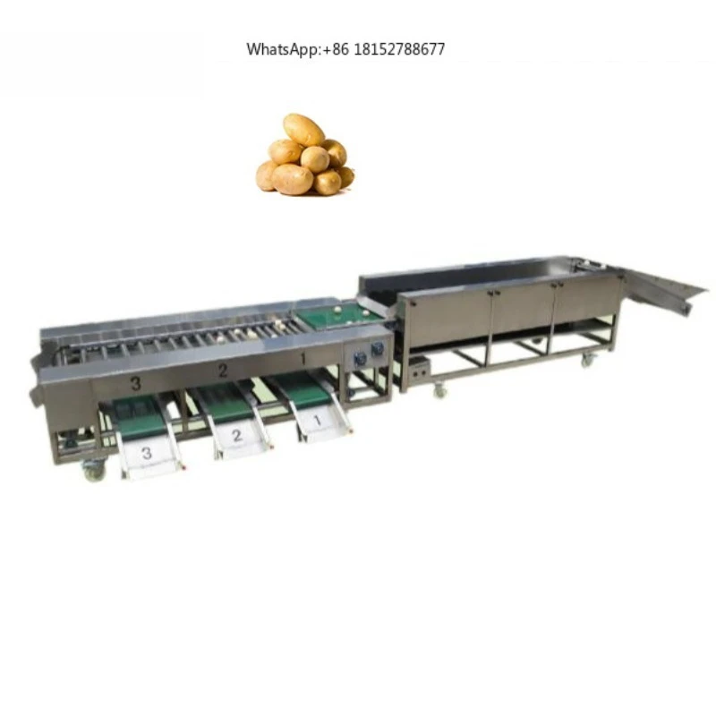 Industrial Roller Type Fruit and Vegetable Grader for Vegetable Sorting Lines