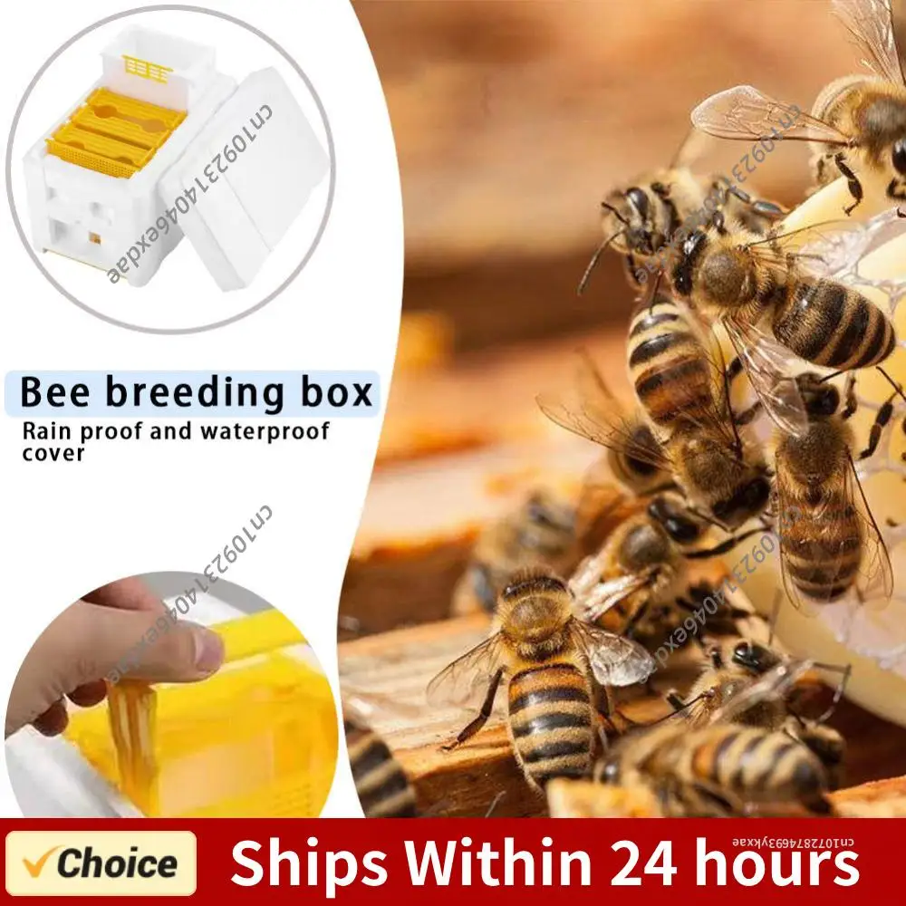 

Набор из 2-х штук: Коробки для пчелиных ульев (для пчеловодства, пчелиных маток, опыления, сбора урожая), пенопластовые, для домашнего использования, принадлежности для пчеловодов