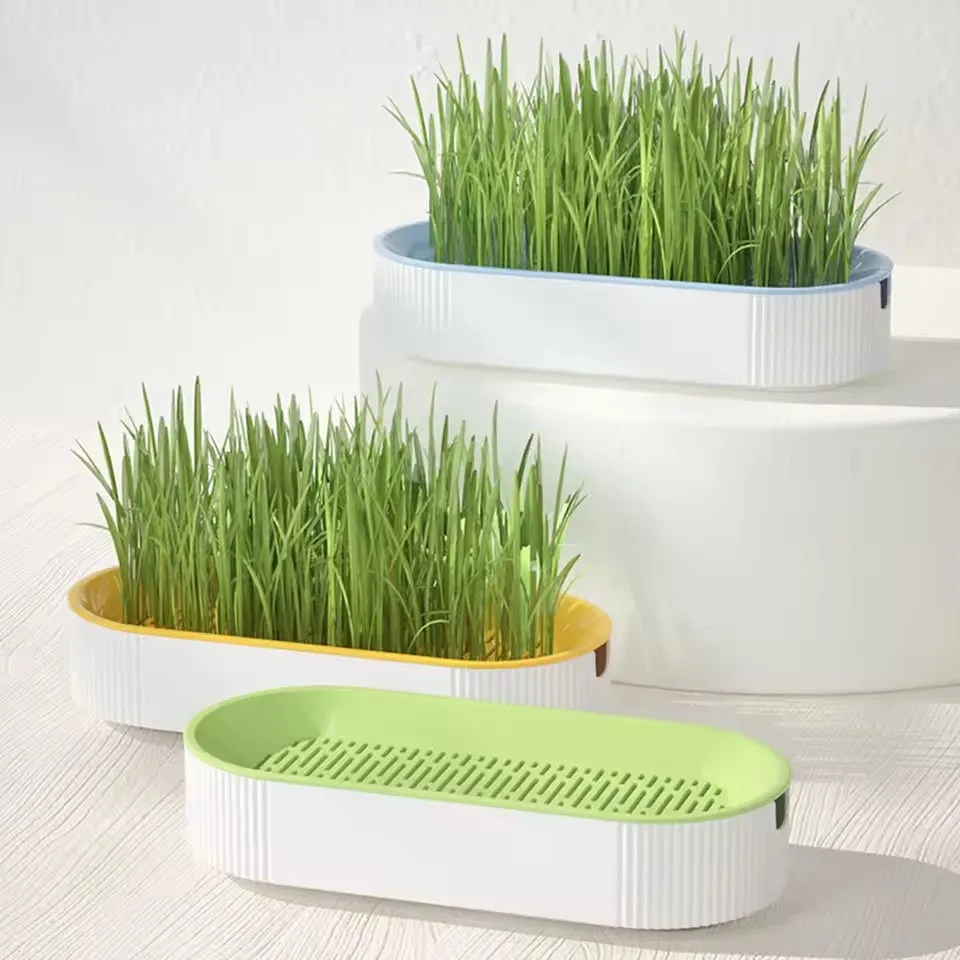 

Pet Cat Sprout Dish Growing Pot Hydroponic Plant Cat Grass Germination Digestion Starter Dish Greenhouse Grow Box Excluding seed