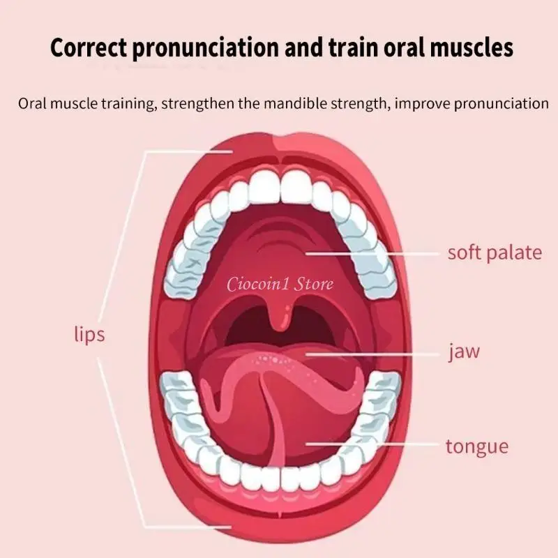 Y1UB インタラクティブ鳥笛おもちゃ バスタイム用 音声明瞭度向上おもちゃ