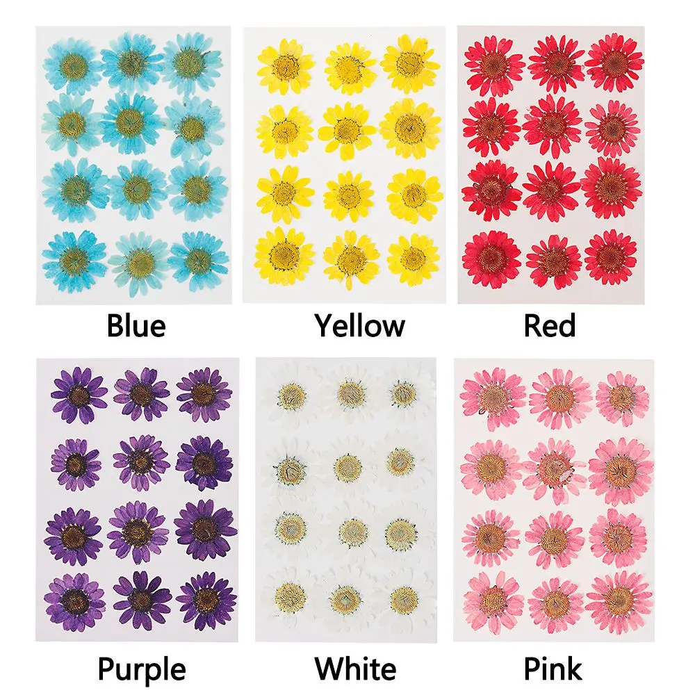 12 buah/kantong perhiasan Resin DIY warna-warni membuat aster seni cetak bunga kering