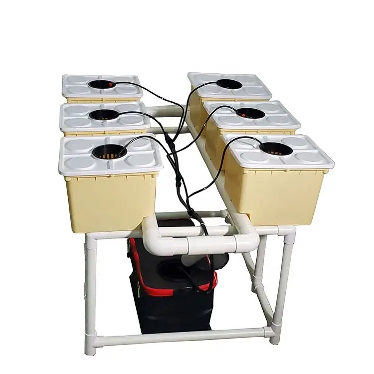 

6 Sets Dutch Bucket Hydroponic System (Bato Bucket Kit) for Greenhouse Vegetable Soilless Cultivation