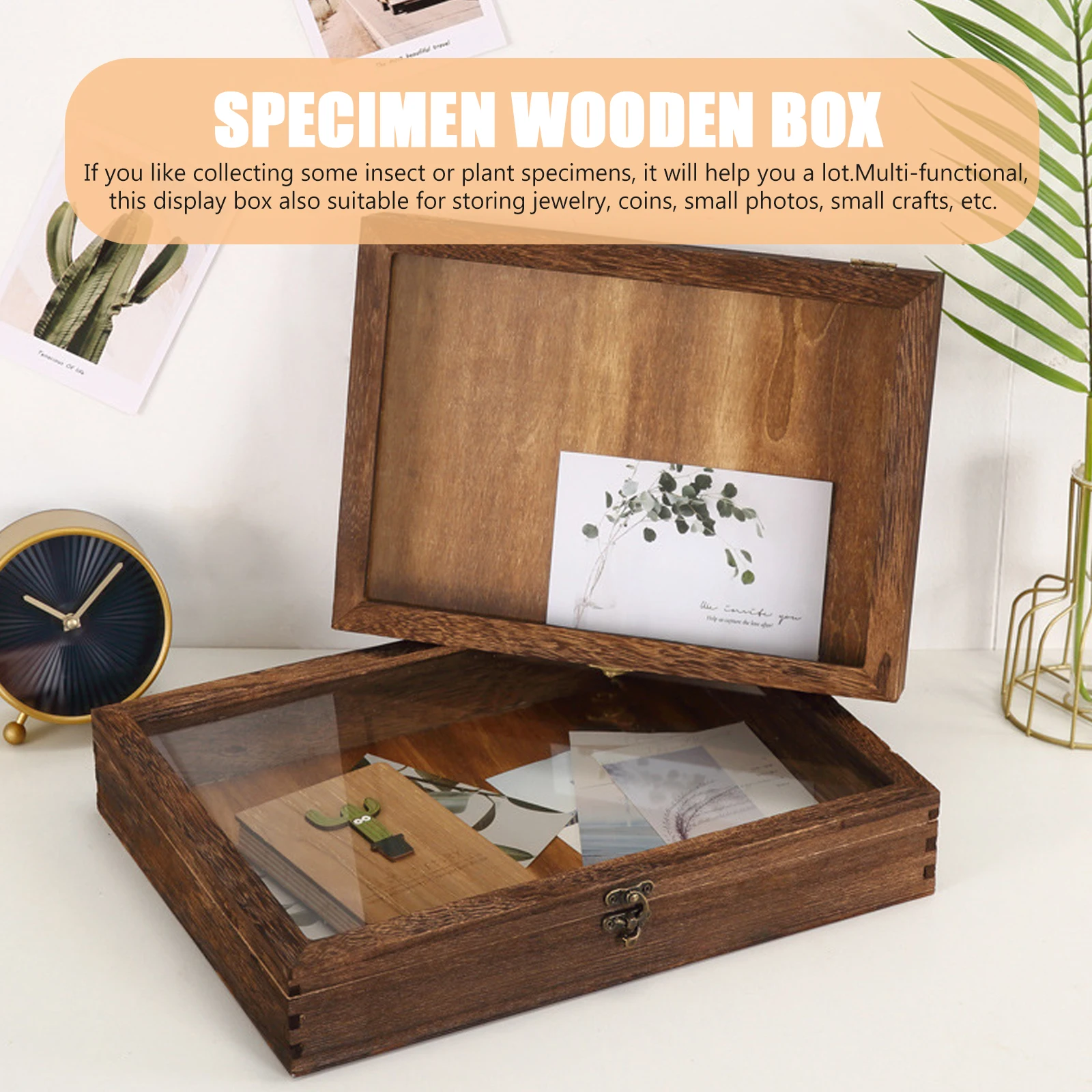 

1PC Butterfly Specimen Display Box Wooden Insect Case Lock Retro Glass Cover Storage Holder Large Capacity Portable for Bugs