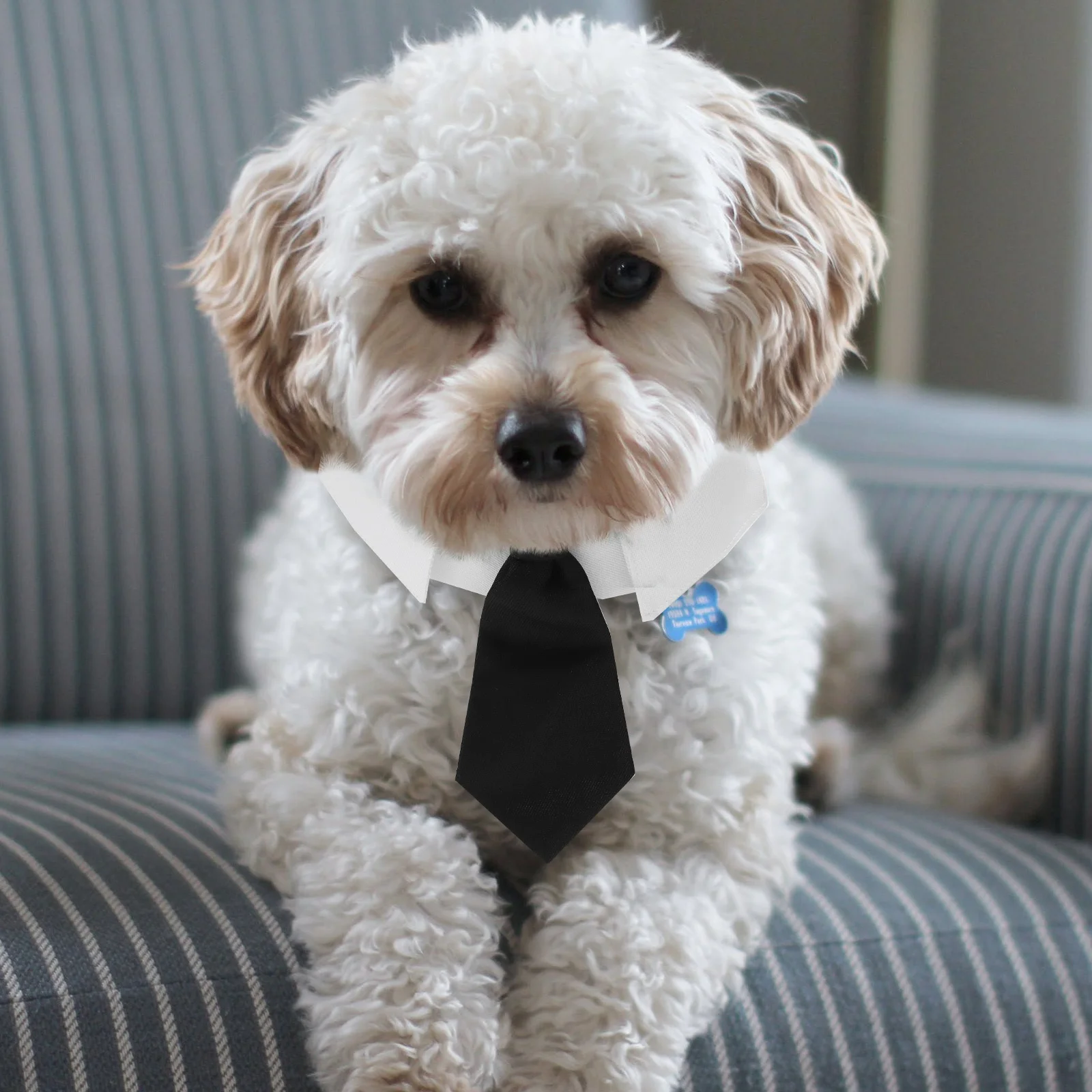 

British Style Pet Tie Adjustable Collar Dog Neckties Fashion Party Holiday Dress Up Accessories Comfortable Wearing