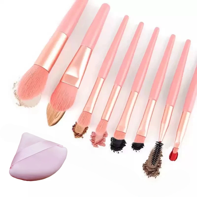 9 Pcs Pink Makeup Brush Set with Triangular Powder Puff, Portable Travel Makeup Set, Facial and Eye Makeup Brush Tools
