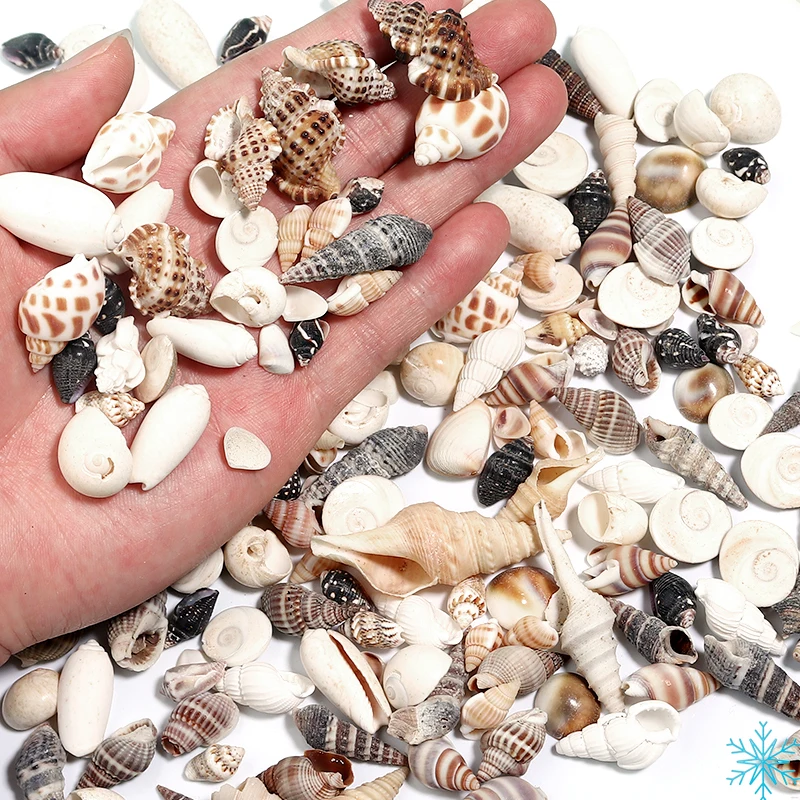 Thumbnail 2 - #43 Latest Aquarium Decor Offers